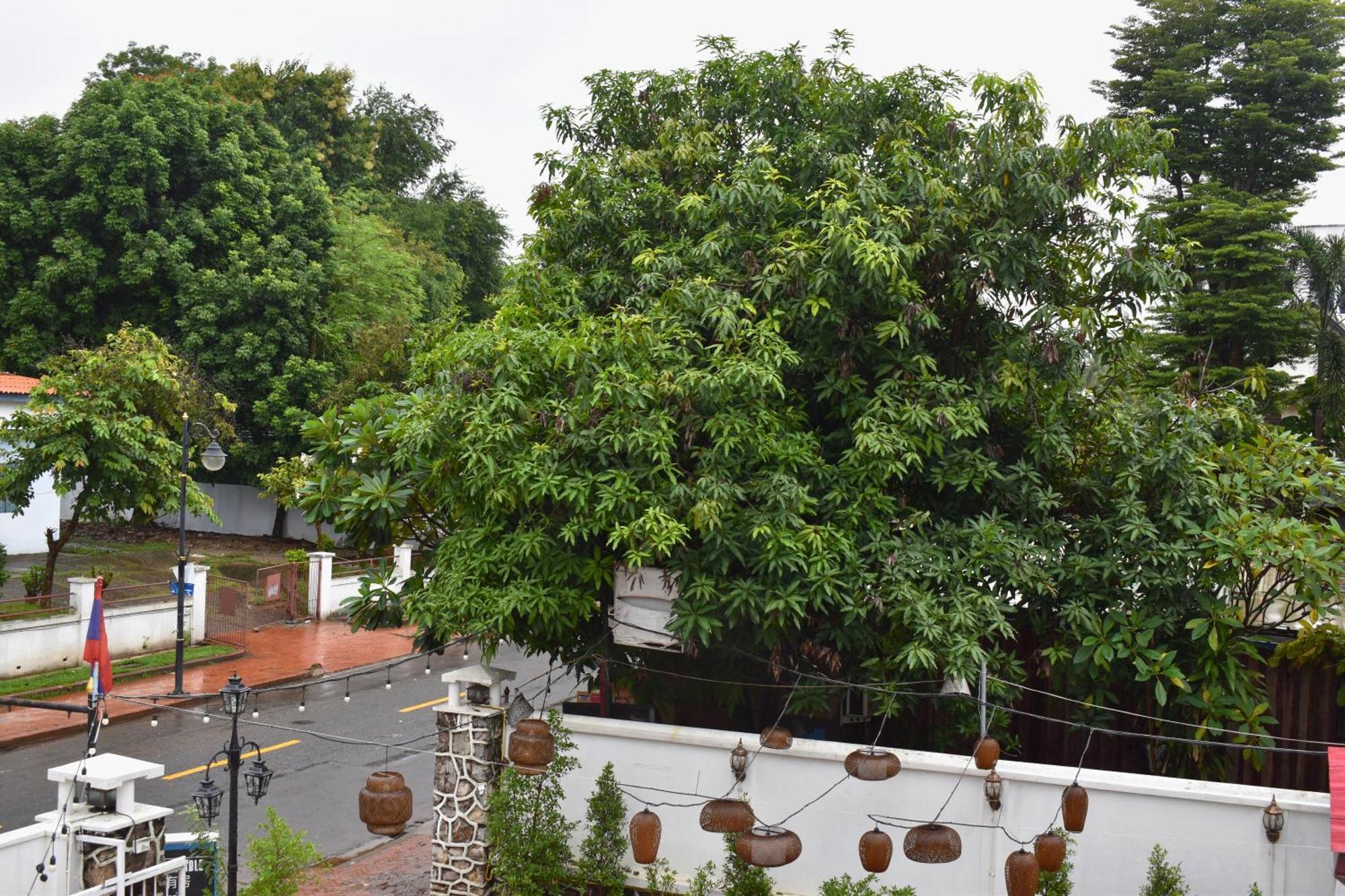 Monsane Villa Luang Prabang Zewnętrze zdjęcie